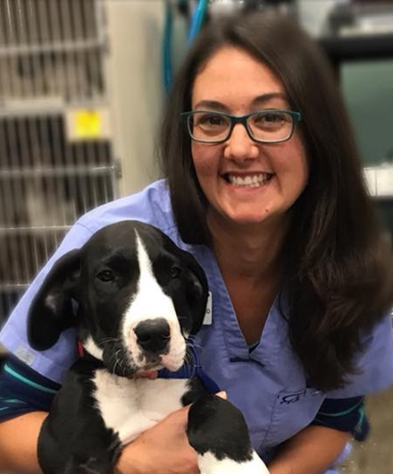 Dr. Patti Mayfield