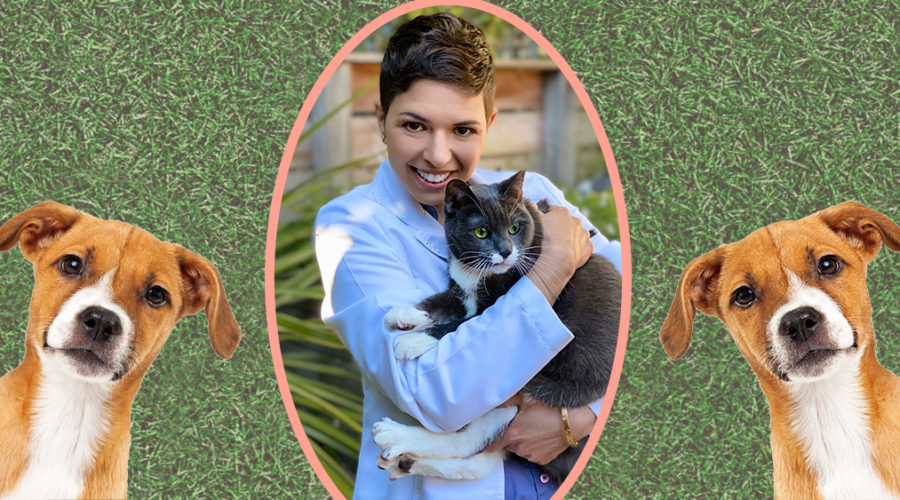 Dr. Trina Hazzah: Expanding Veterinary Care with Medical Cannabis