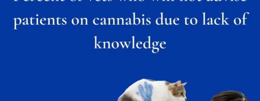 VCS Welcomes Veterinarians, Pet Owners, and Cannabis Producers as Members