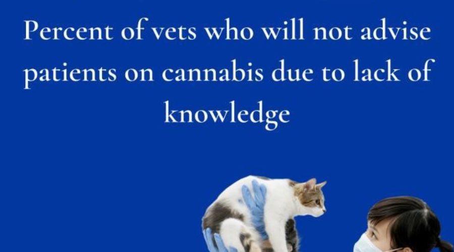 VCS Welcomes Veterinarians, Pet Owners, and Cannabis Producers as Members