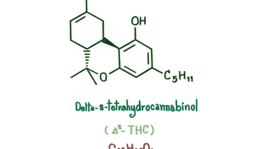 Up-to-Date and Accurate information regarding D8THC