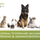 Cannabis in Veterinary Practice Multi-Expert Webinar