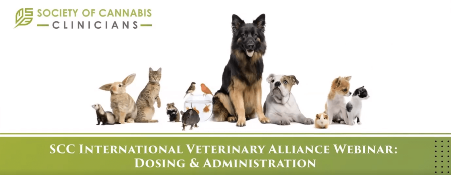 Cannabis in Veterinary Practice Multi-Expert Webinar