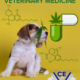 Cannabis in Veterinary Medicine | Continual Education | VIN