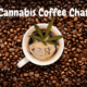 VCS Cannabis Coffee Chat: Cannabis in Palliative and Hospice Care