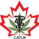 CAVCM Monthly Chat Room