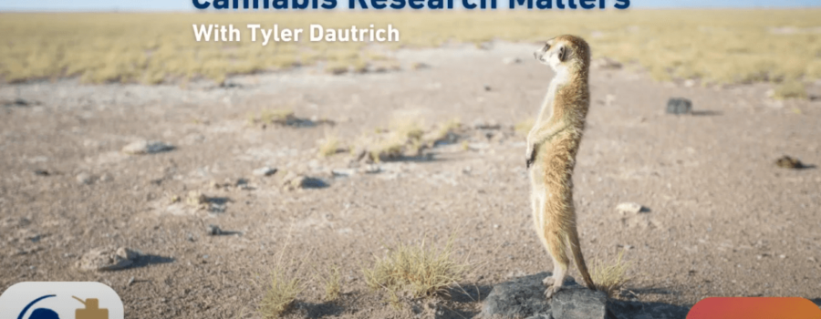 The Importance of Standardized Observational Studies